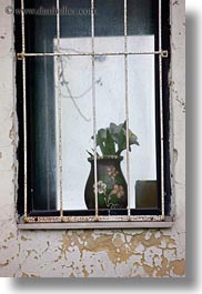 images/Europe/Hungary/TokajHills/Misc/flowers-in-window.jpg