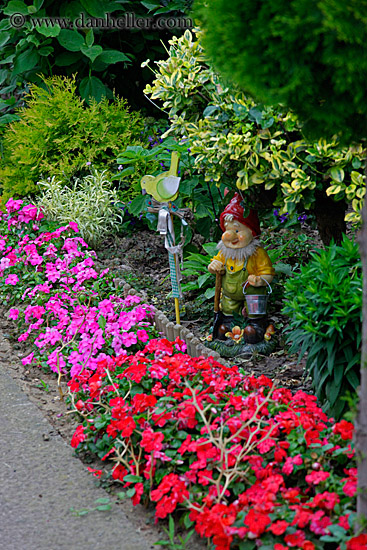 garden-gnome-n-flowers.jpg