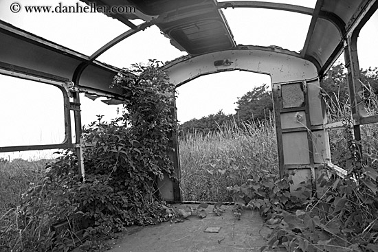 leaves-vines-in-old-bus-frame-bw.jpg