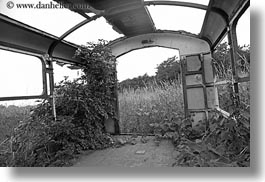 black and white, bus, europe, frames, horizontal, hungary, leaves, old, tokaj hills, vines, photograph