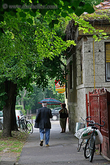 man-w-umbrella-walking-under-trees.jpg