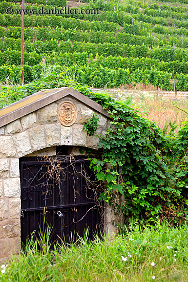 stone-hutch-in-vineyard.jpg