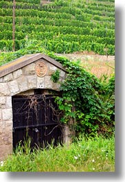 images/Europe/Hungary/TokajHills/Misc/stone-hutch-in-vineyard.jpg