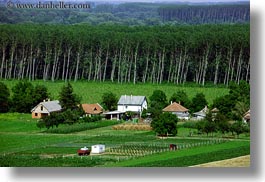 europe, farm, forests, horizontal, hungary, nature, plants, scenics, tokaj hills, trees, photograph