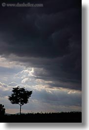 images/Europe/Hungary/TokajHills/Scenics/tree-sil-n-dark-clouds-2.jpg