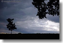 images/Europe/Hungary/TokajHills/Scenics/tree-sil-n-dark-clouds-3.jpg