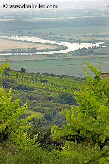 vineyard-n-river-overlook-1.jpg