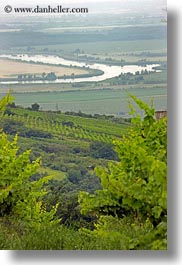 images/Europe/Hungary/TokajHills/Scenics/vineyard-n-river-overlook-1.jpg