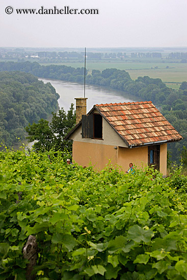 vineyard-n-river-overlook-4.jpg