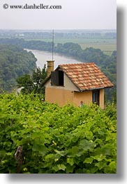 europe, grape vines, hungary, nature, overlook, plants, rivers, scenics, tokaj hills, vertical, vineyards, photograph