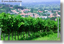 europe, grape vines, horizontal, hungary, nature, overlook, plants, tokaj hills, towns, vines, vineyards, photograph