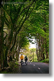 bikers, connaught, connemara, europe, ireland, irish, mayo county, trees, vertical, western ireland, photograph