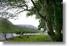 connaught, connemara, europe, horizontal, ireland, irish, mayo, mayo county, rivers, trees, western ireland, photograph