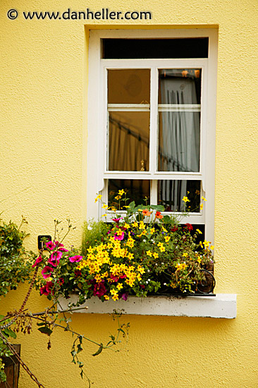 yellow-window.jpg