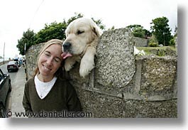 big, capital, cities, dogs, dublin, eastern ireland, europe, fisheye lens, horizontal, ireland, irish, leinster, white, photograph