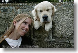 images/Europe/Ireland/Leinster/Dublin/Dogs/big-white-pooch-09.jpg
