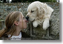 images/Europe/Ireland/Leinster/Dublin/Dogs/big-white-pooch-10.jpg