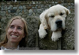 images/Europe/Ireland/Leinster/Dublin/Dogs/big-white-pooch-13.jpg