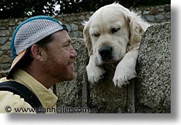 big, capital, cities, dogs, dublin, eastern ireland, europe, horizontal, ireland, irish, leinster, white, photograph