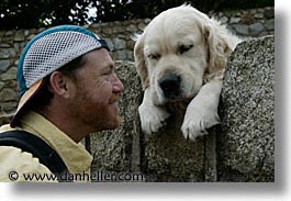 images/Europe/Ireland/Leinster/Dublin/Dogs/big-white-pooch-17.jpg