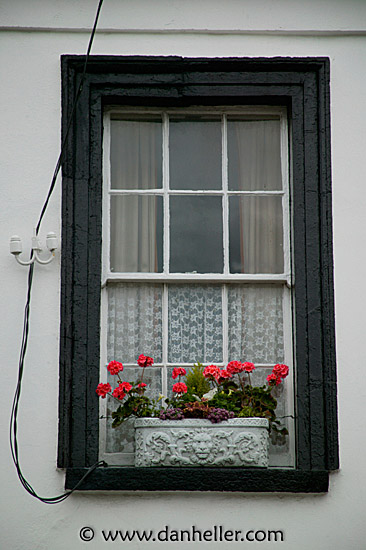 window-geraniums.jpg