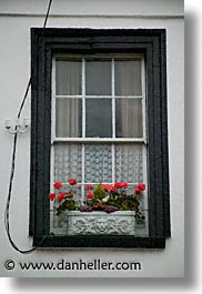 capital, cities, doors & windows, dublin, eastern ireland, europe, geraniums, ireland, irish, leinster, vertical, windows, photograph
