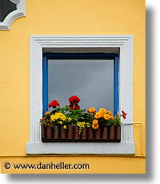 capital, cities, doors & windows, dublin, eastern ireland, europe, flowers, ireland, irish, leinster, vertical, walls, yellow, photograph