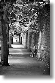 black and white, eastern ireland, europe, ireland, irish, kildare, leinster, sidewalks, trees, vertical, photograph