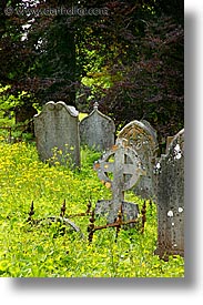 cork, cork county, europe, graves, ireland, irish, mary, munster, vertical, youghal, photograph