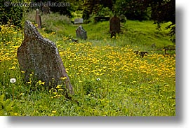 cork, cork county, europe, graves, horizontal, ireland, irish, mary, munster, youghal, photograph