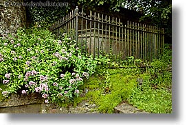 images/Europe/Ireland/Munster/Cork/Youghal/st-marys-graves-6.jpg