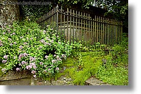 cork, cork county, europe, graves, horizontal, ireland, irish, mary, munster, youghal, photograph