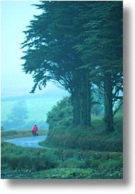 cork, cork county, cyclists, europe, ireland, irish, munster, vertical, photograph