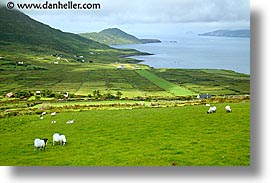 cork county, europe, horizontal, ireland, irish, iveragh, kerry, kerry penninsula, munster, peninsula, penninsula, ring of kerry, waterford county, western ireland, photograph