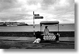 black and white, cork county, europe, horizontal, ireland, irish, kilkee, loop head, loophead penninsula, munster, winkles, photograph