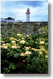 cork county, europe, ireland, irish, litehouse, loop head, loophead penninsula, munster, vertical, photograph