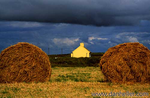 loopy-hay-a.jpg