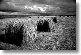 black and white, cork county, europe, hay, horizontal, ireland, irish, loop head, loophead penninsula, loopy, munster, photograph