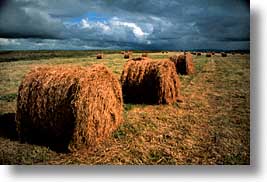 cork county, europe, hay, horizontal, ireland, irish, loop head, loophead penninsula, loopy, munster, photograph