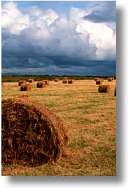 cork county, europe, hay, ireland, irish, loop head, loophead penninsula, loopy, munster, vertical, photograph