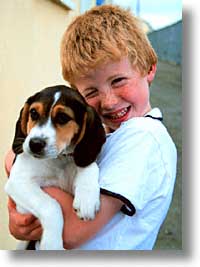 cork county, europe, ireland, irish, kid, loop head, loophead penninsula, munster, puppies, vertical, photograph