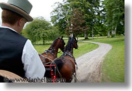 buggy, county shannon, dublin, europe, horizontal, horses, ireland, irish, shannon, shannon river, photograph