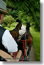 buggy, county shannon, europe, horses, ireland, irish, shannon, shannon river, vertical, photograph