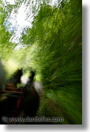 buggy, county shannon, europe, horses, ireland, irish, shannon, shannon river, slow exposure, vertical, photograph