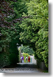 county shannon, europe, ireland, irish, lough derg, shannon, shannon river, trees, tunnel, vertical, photograph