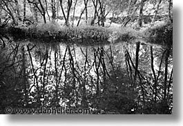 black and white, county shannon, dublin, europe, horizontal, ireland, irish, reflections, shannon, shannon river, photograph