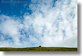 images/Europe/Italy/Dolomites/Animals/Cows/cow-hill-big-sky.jpg