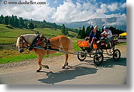 alto adige, animals, carriage, dolomites, europe, horizontal, horses, italy, photograph
