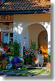 images/Europe/Italy/Dolomites/BerghotelMoseralm/st-bernard-in-doorway.jpg