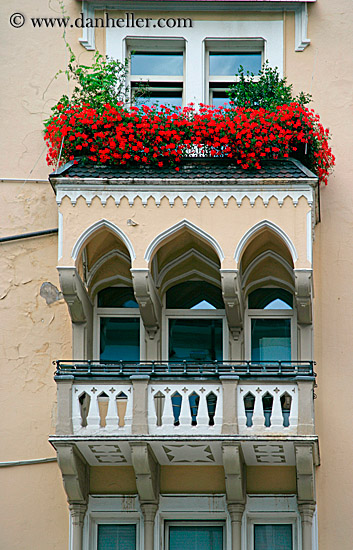 bolzano-windows-2.jpg